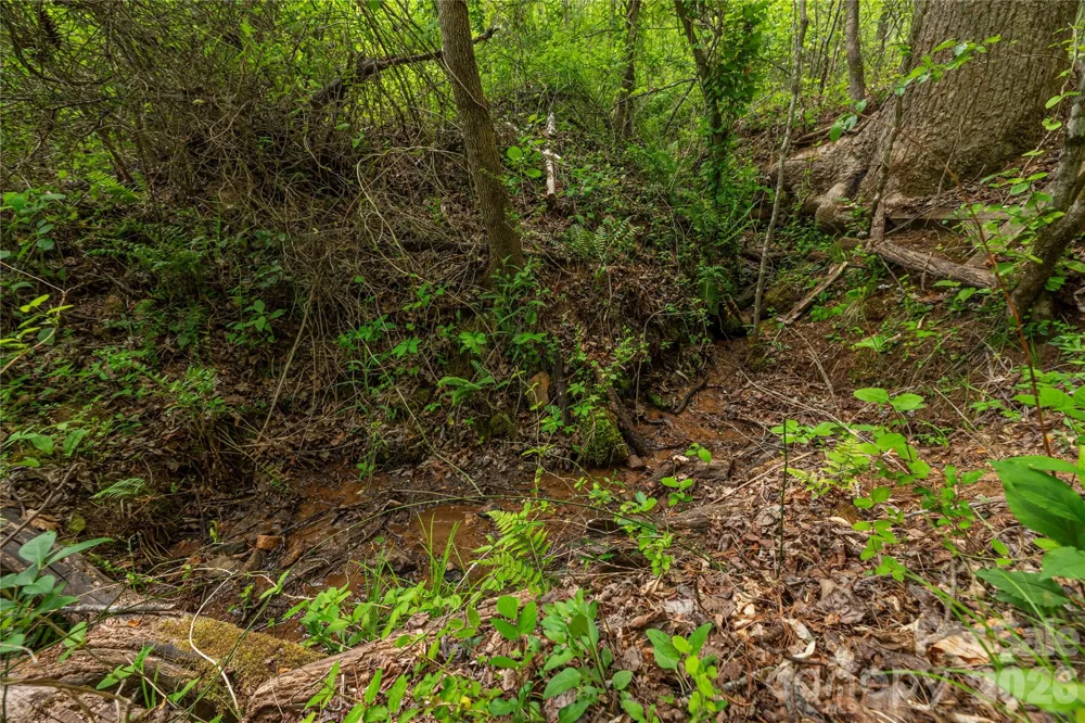 0000 Pressley Creek Road Cullowhee, NC 28723