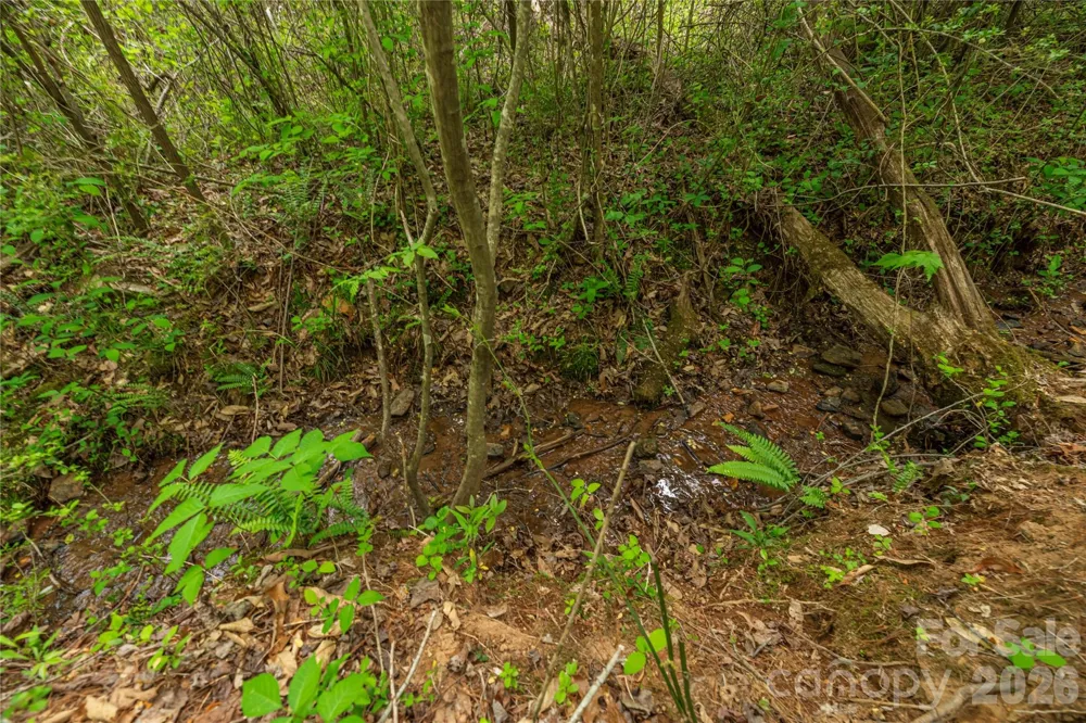 0000 Pressley Creek Road Cullowhee, NC 28723