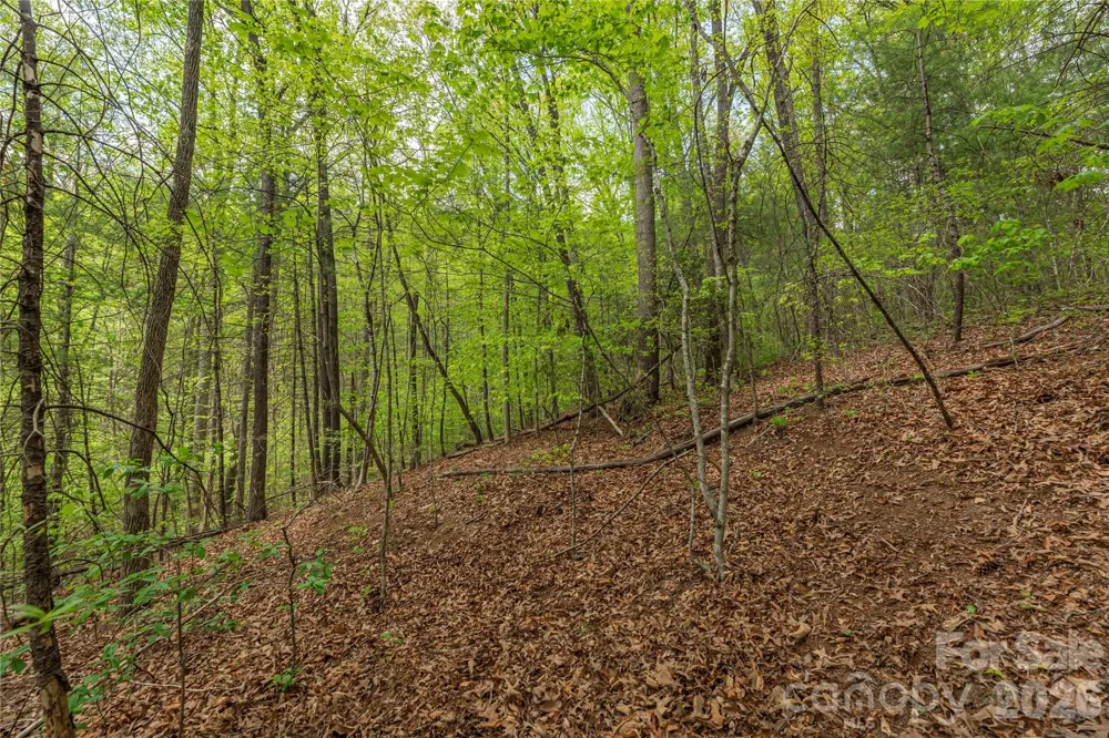 0000 Pressley Creek Road Cullowhee, NC 28723
