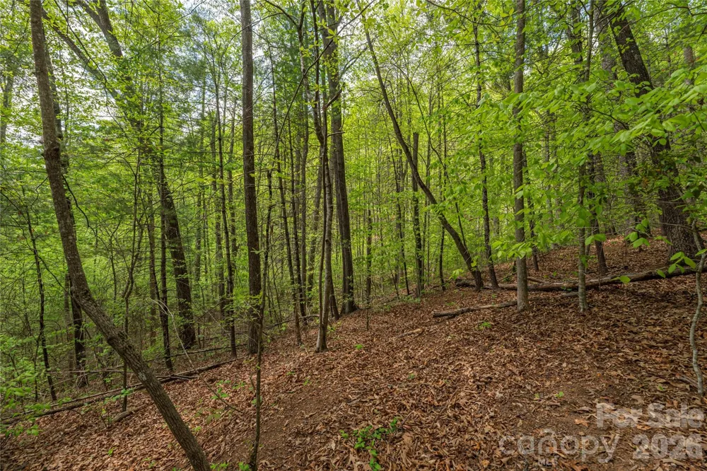 0000 Pressley Creek Road Cullowhee, NC 28723