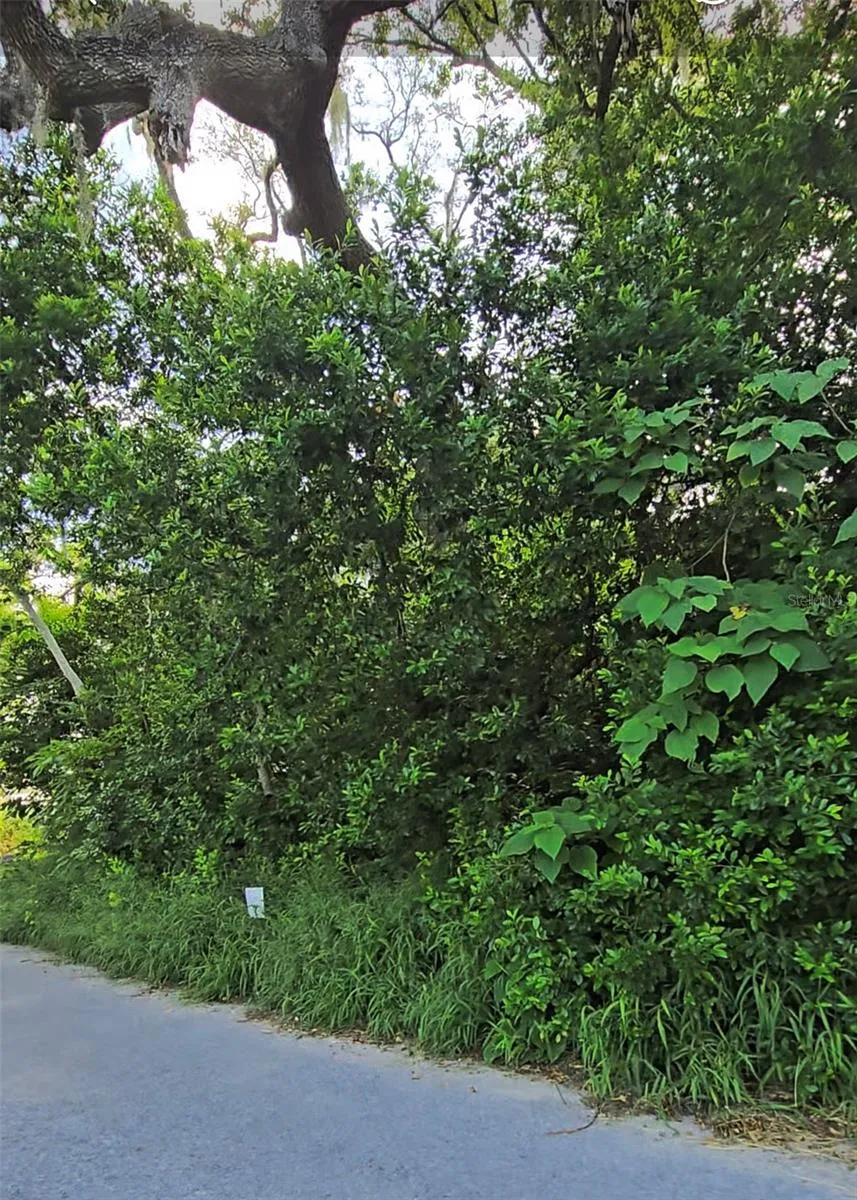 LENOX DRIVE New Port Richey, FL 34653