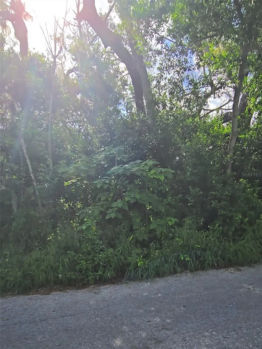 LENOX DRIVE New Port Richey, FL 34653