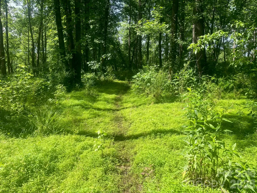 575 Lookout Dam Road #149 Statesville, NC 28625