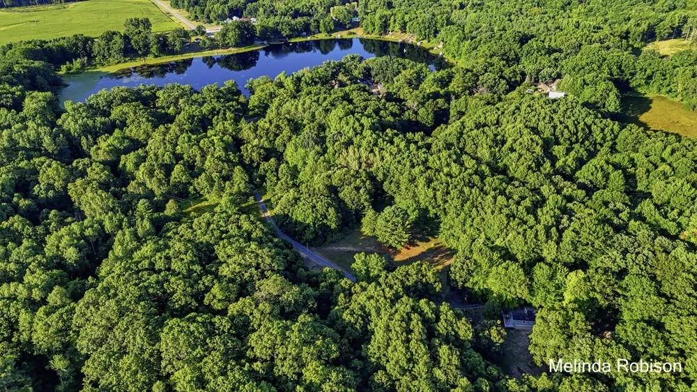 5220 E High Tower Lake Road Newfield Township, MI 49421