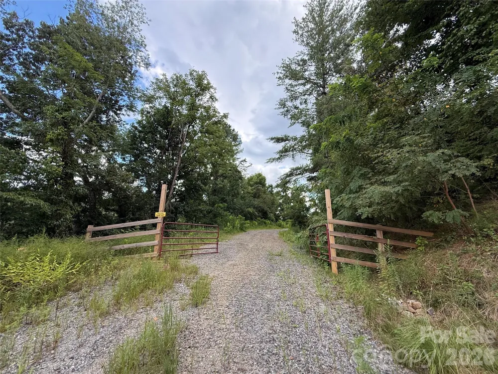 3132 Cane Creek Road Fairview, NC 28730