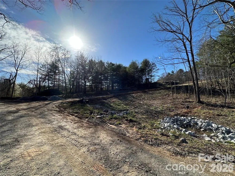 3132 Cane Creek Road Fairview, NC 28730