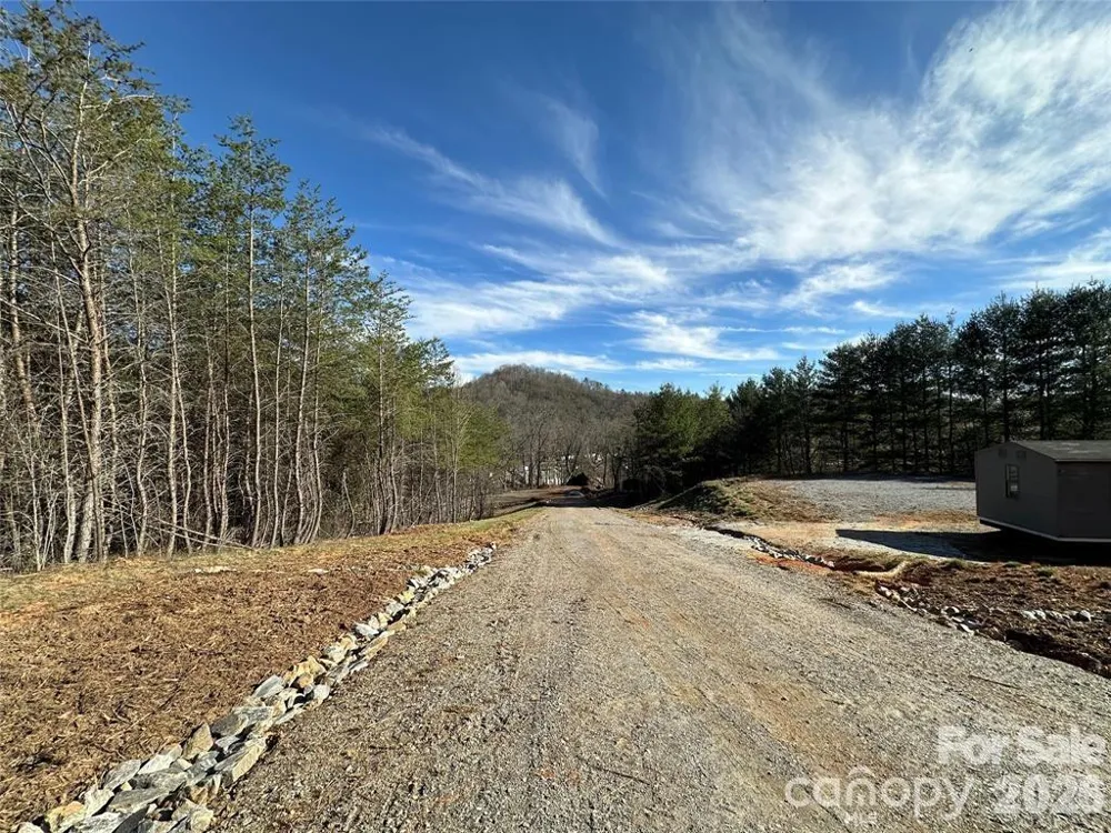 3132 Cane Creek Road Fairview, NC 28730