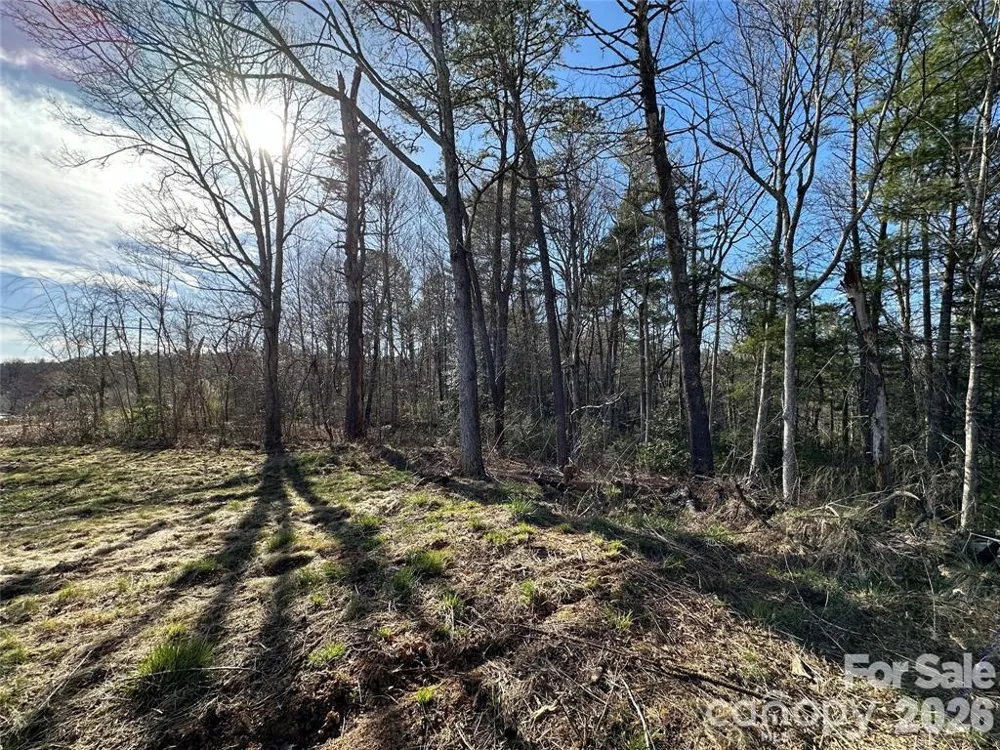 3132 Cane Creek Road Fairview, NC 28730