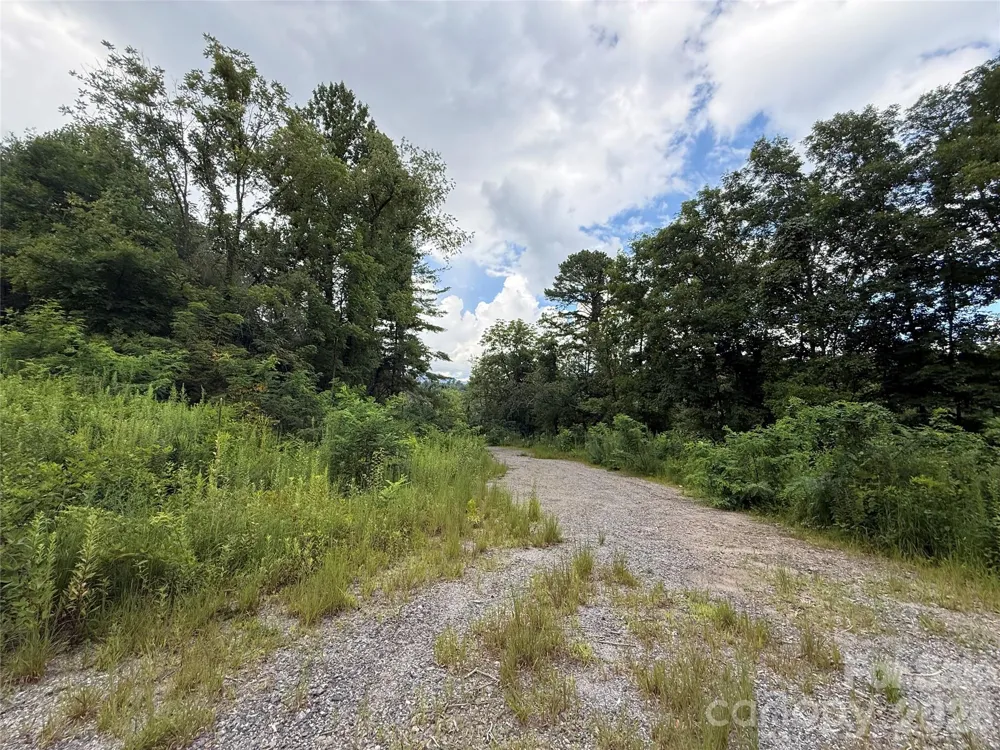 3132 Cane Creek Road Fairview, NC 28730