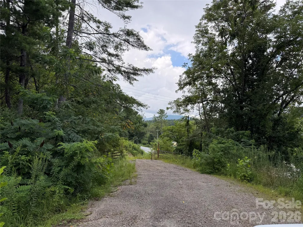 3132 Cane Creek Road Fairview, NC 28730