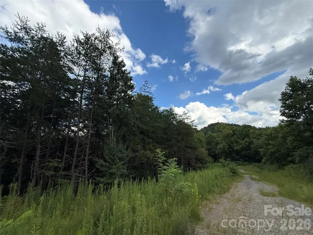 3132 Cane Creek Road Fairview, NC 28730