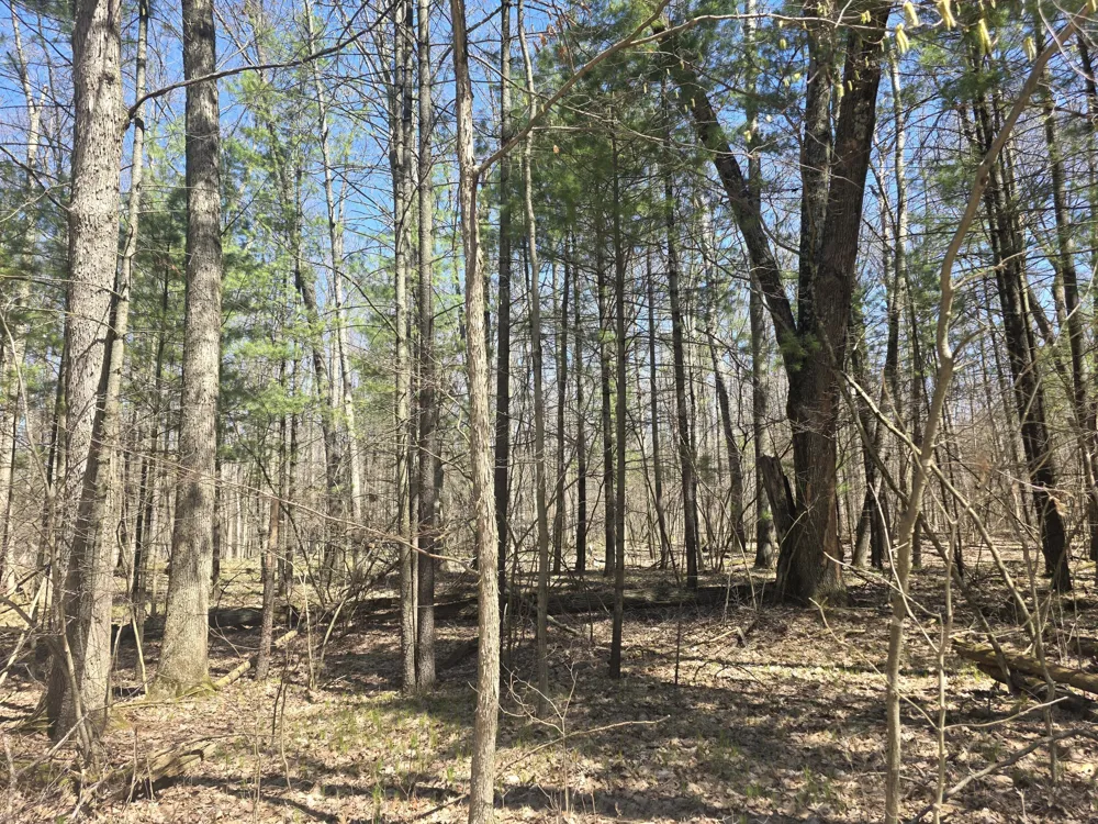 7696 Muskegon Boulevard Newaygo, MI 49337
