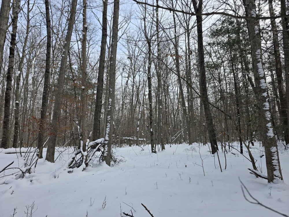 7696 Muskegon Boulevard Newaygo, MI 49337