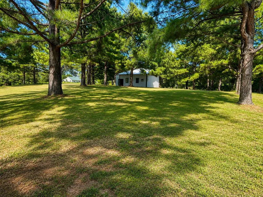 602 NE I STREET Antlers, OK 74523