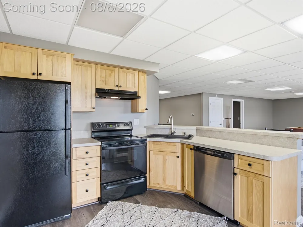 16147 Meredith Court Fenton Charter Township, MI 48451