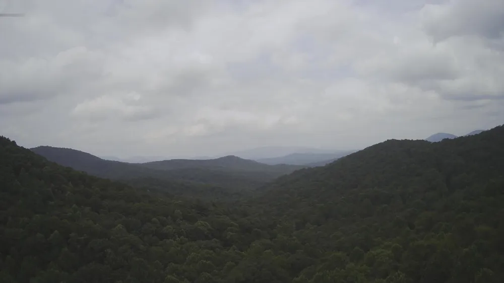 1368 Mtn Creek Hollow Drive Talking Rock, GA 30175