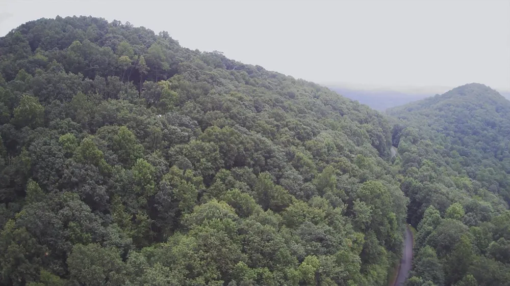 1368 Mtn Creek Hollow Drive Talking Rock, GA 30175