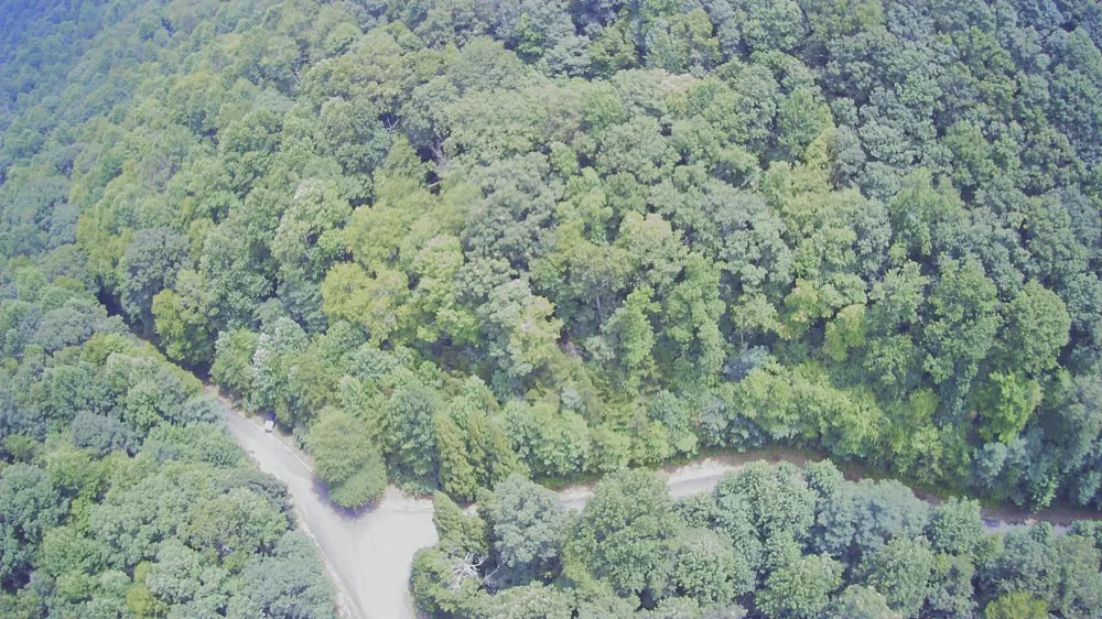 1368 Mtn Creek Hollow Drive Talking Rock, GA 30175