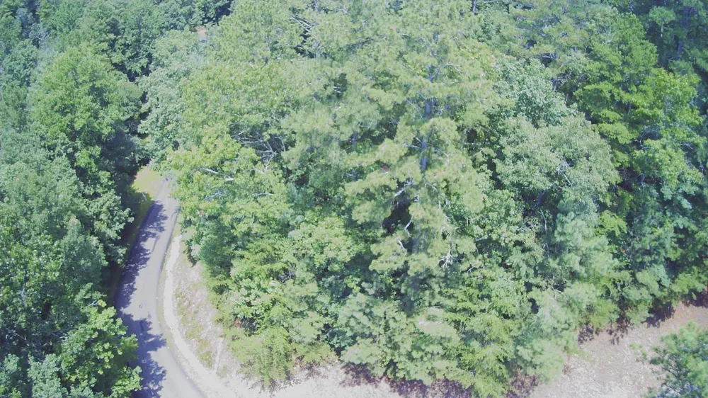 1368 Mtn Creek Hollow Drive Talking Rock, GA 30175