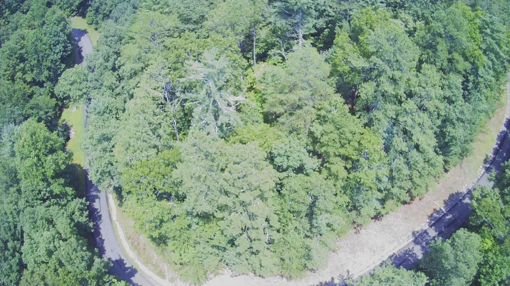 1368 Mtn Creek Hollow Drive Talking Rock, GA 30175