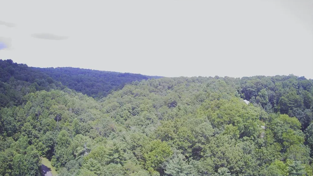 1368 Mtn Creek Hollow Drive Talking Rock, GA 30175