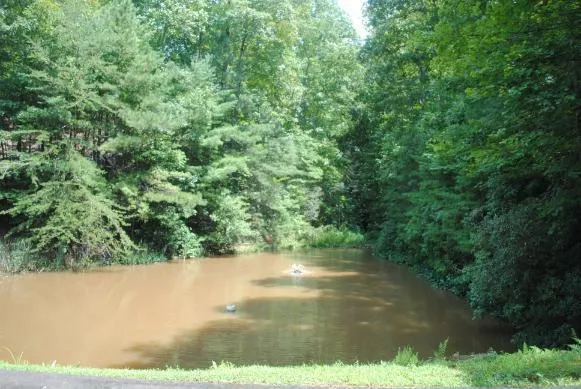 1368 Mtn Creek Hollow Drive Talking Rock, GA 30175