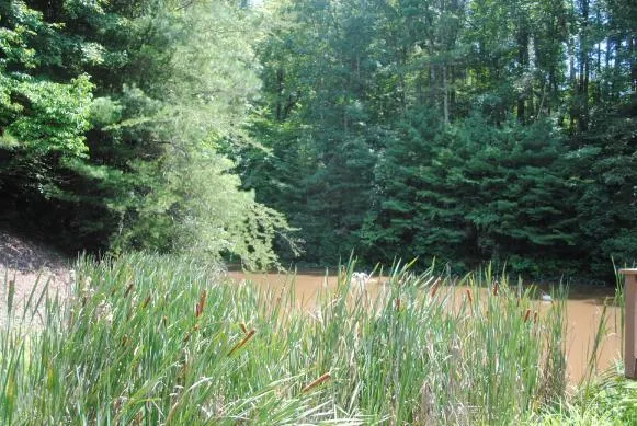 1368 Mtn Creek Hollow Drive Talking Rock, GA 30175