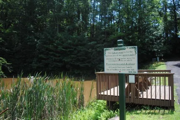1368 Mtn Creek Hollow Drive Talking Rock, GA 30175