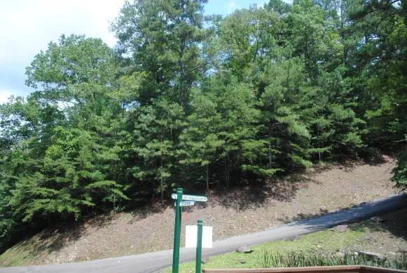 1368 Mtn Creek Hollow Drive Talking Rock, GA 30175