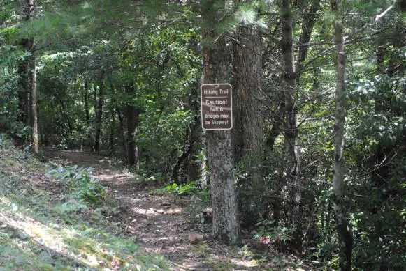 1368 Mtn Creek Hollow Drive Talking Rock, GA 30175