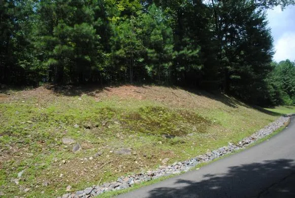 1368 Mtn Creek Hollow Drive Talking Rock, GA 30175