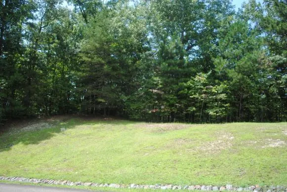 1368 Mtn Creek Hollow Drive Talking Rock, GA 30175