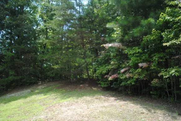 1368 Mtn Creek Hollow Drive Talking Rock, GA 30175