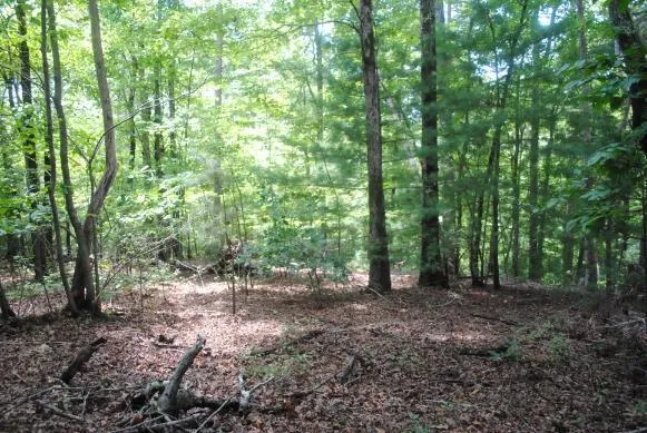 1368 Mtn Creek Hollow Drive Talking Rock, GA 30175