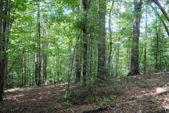 1368 Mtn Creek Hollow Drive Talking Rock, GA 30175