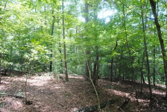 1368 Mtn Creek Hollow Drive Talking Rock, GA 30175
