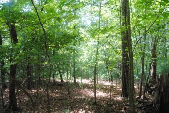 1368 Mtn Creek Hollow Drive Talking Rock, GA 30175