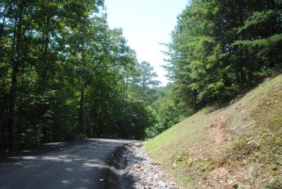 1368 Mtn Creek Hollow Drive Talking Rock, GA 30175