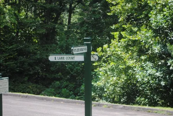 1368 Mtn Creek Hollow Drive Talking Rock, GA 30175