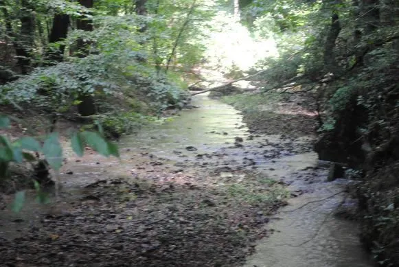 1368 Mtn Creek Hollow Drive Talking Rock, GA 30175