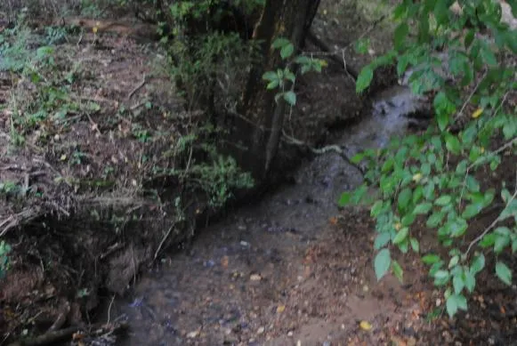 1368 Mtn Creek Hollow Drive Talking Rock, GA 30175