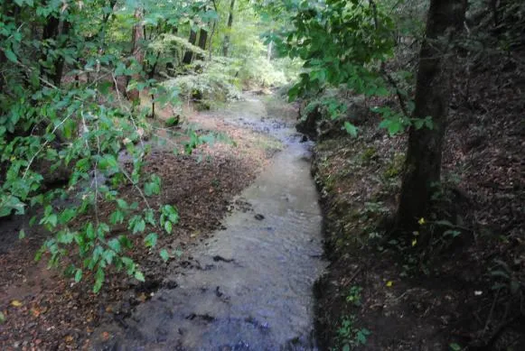 1368 Mtn Creek Hollow Drive Talking Rock, GA 30175