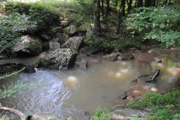 1368 Mtn Creek Hollow Drive Talking Rock, GA 30175