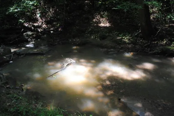 1368 Mtn Creek Hollow Drive Talking Rock, GA 30175