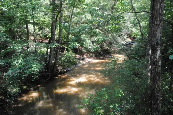 1368 Mtn Creek Hollow Drive Talking Rock, GA 30175