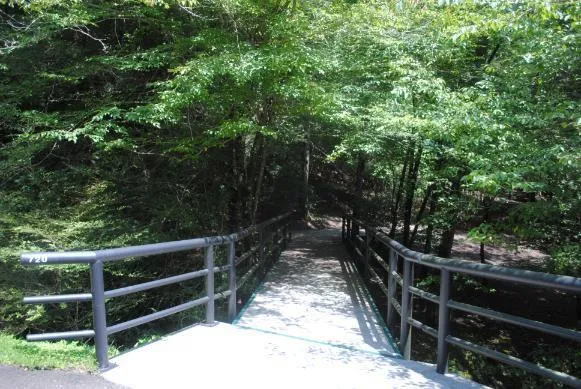 1368 Mtn Creek Hollow Drive Talking Rock, GA 30175