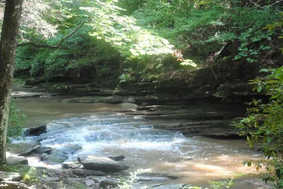 1368 Mtn Creek Hollow Drive Talking Rock, GA 30175