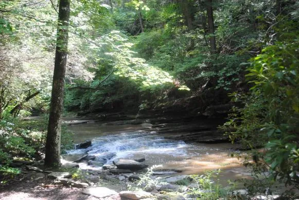 1368 Mtn Creek Hollow Drive Talking Rock, GA 30175