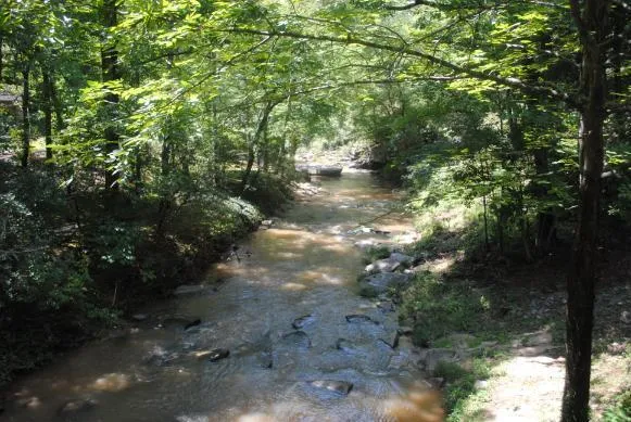 1368 Mtn Creek Hollow Drive Talking Rock, GA 30175