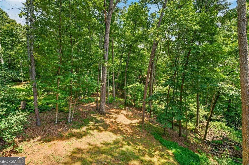 649 Power Dam RD Blue Ridge, GA 30513